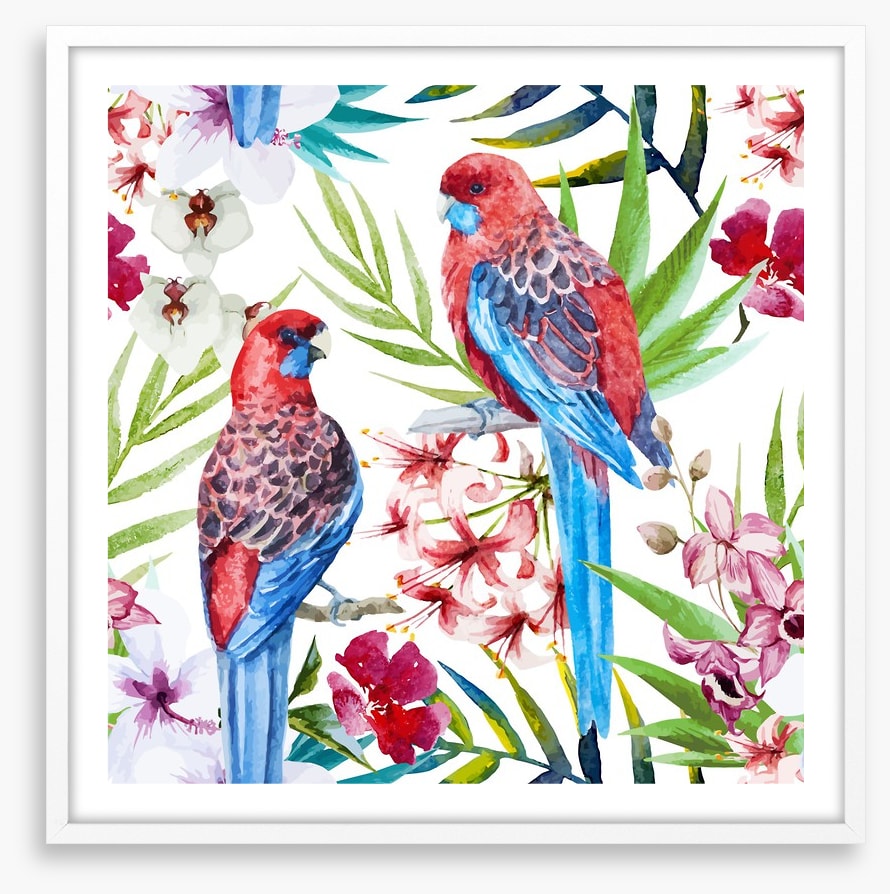 Two crimson rosellas