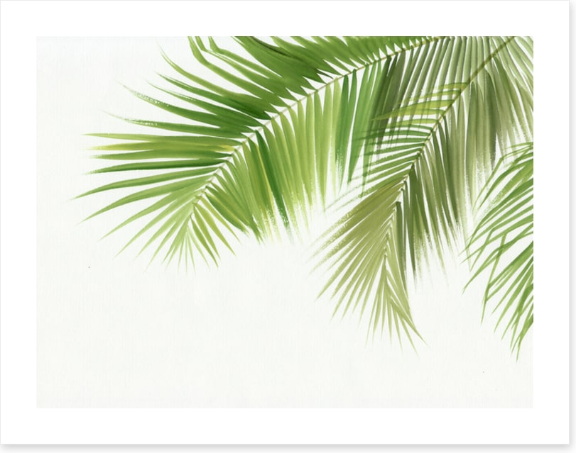 Green palm breeze