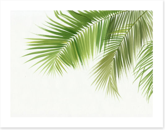 Green palm breeze