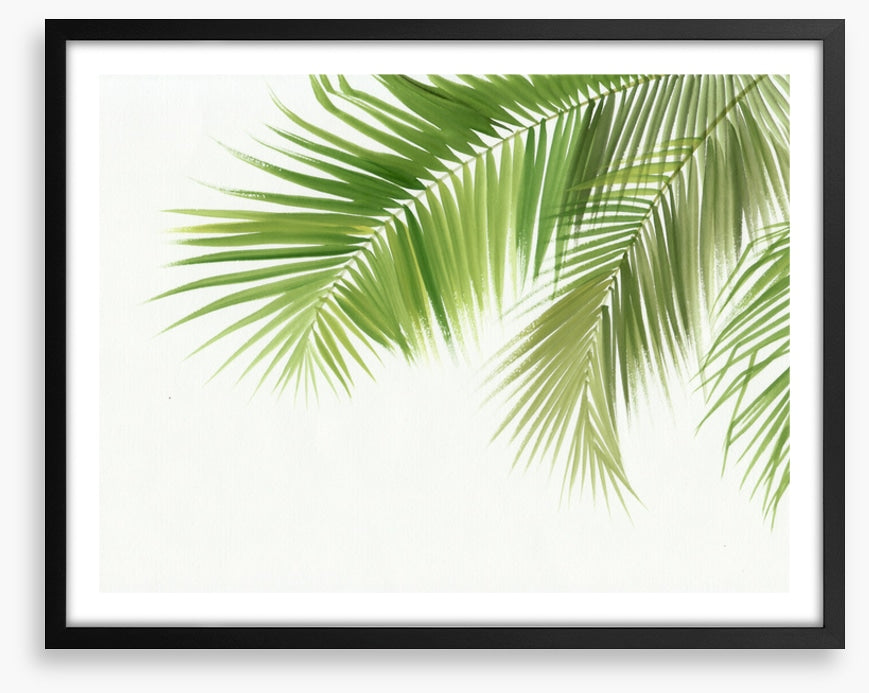 Green palm breeze