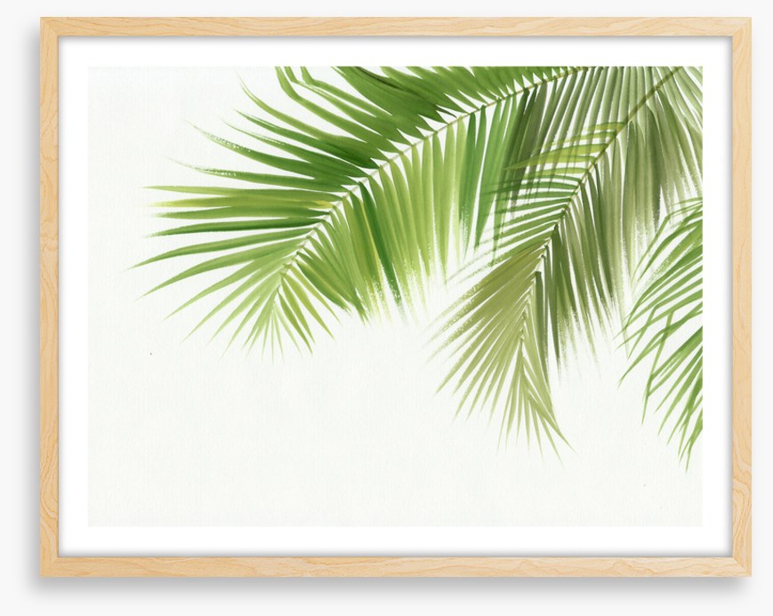 Green palm breeze