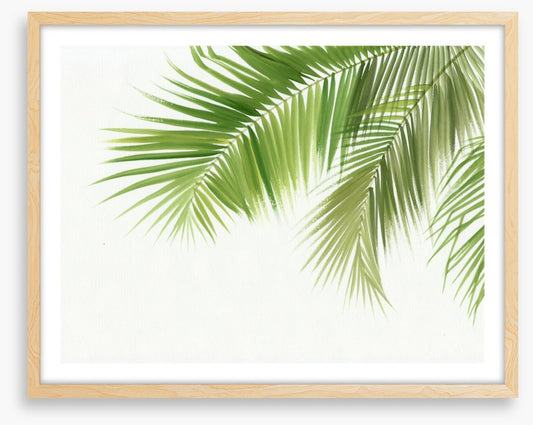 Green palm breeze