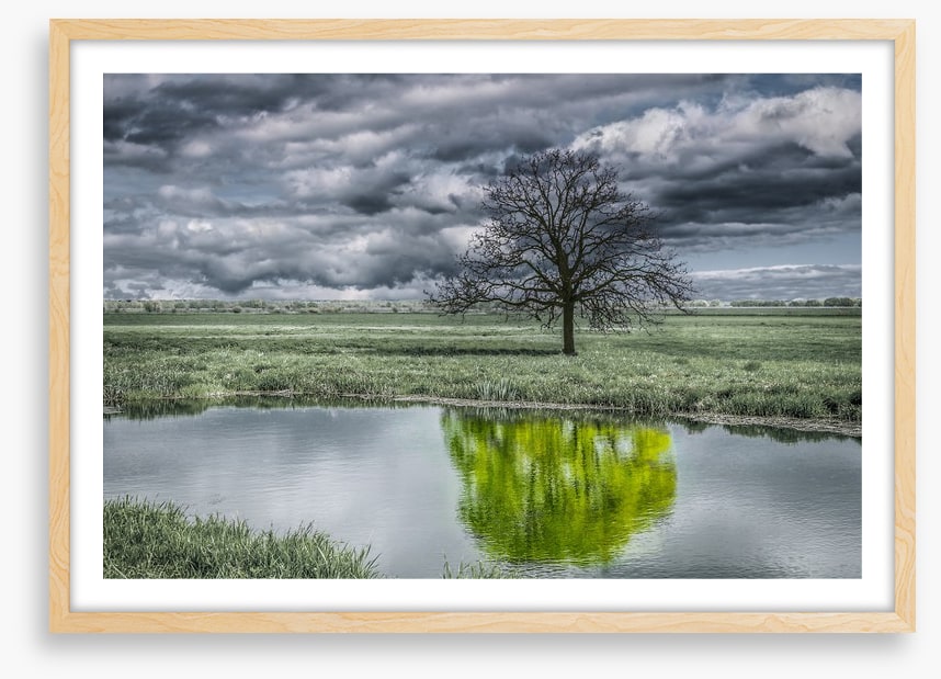 The unusual duck pond