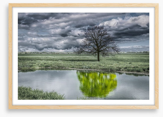 The unusual duck pond