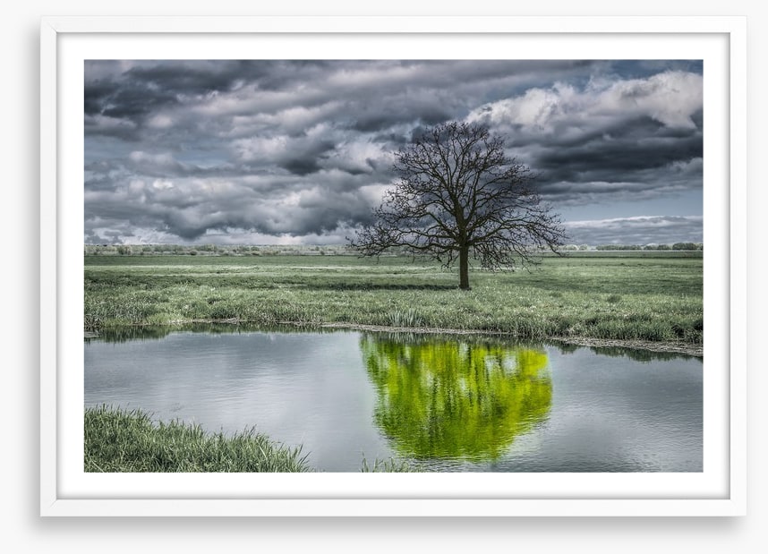 The unusual duck pond