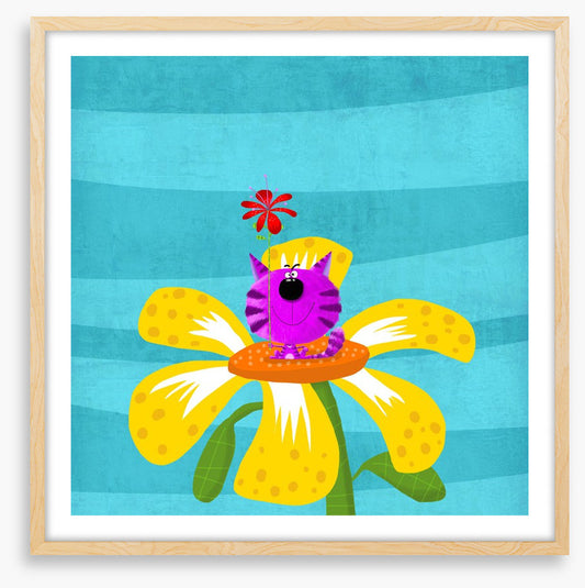 Cat in the flower