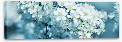Fresh blossom panorama