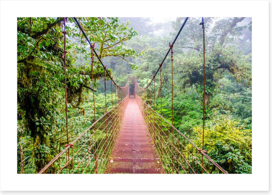 South America
