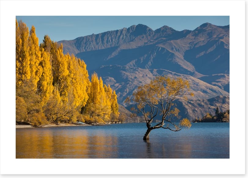 Autumn at Lake Wanaka