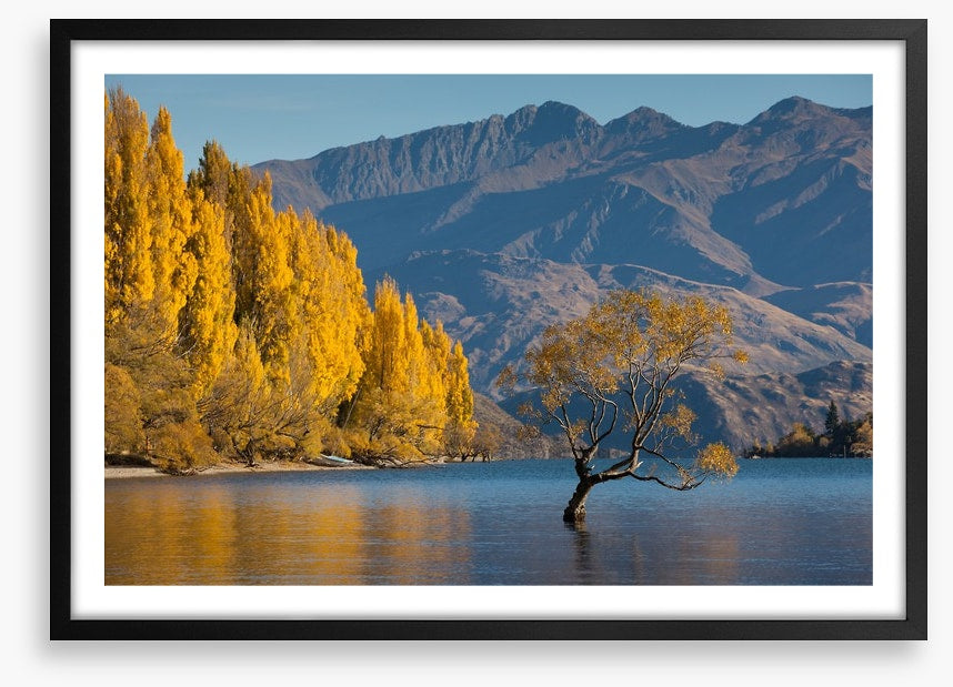Autumn at Lake Wanaka