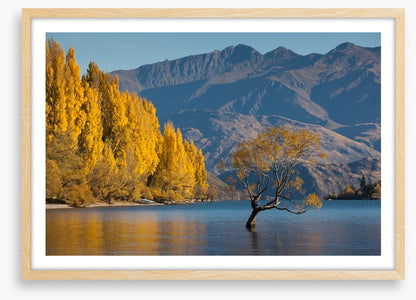 Autumn at Lake Wanaka