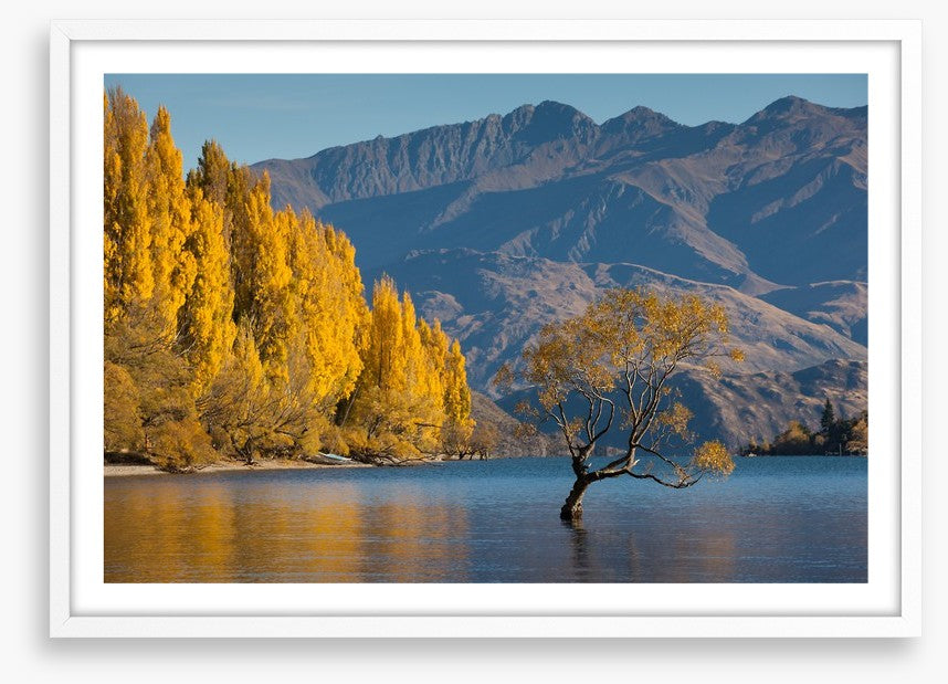 Autumn at Lake Wanaka