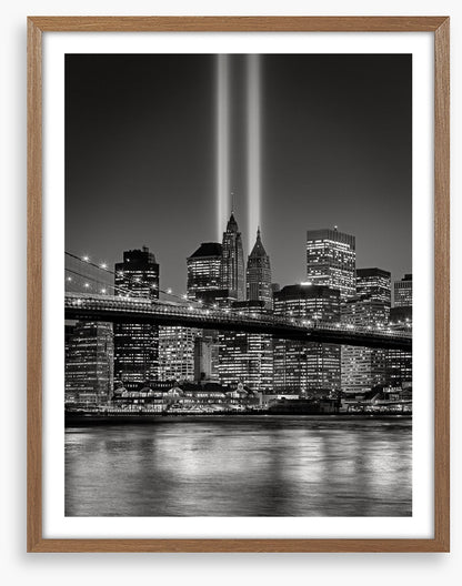 Tribute in light