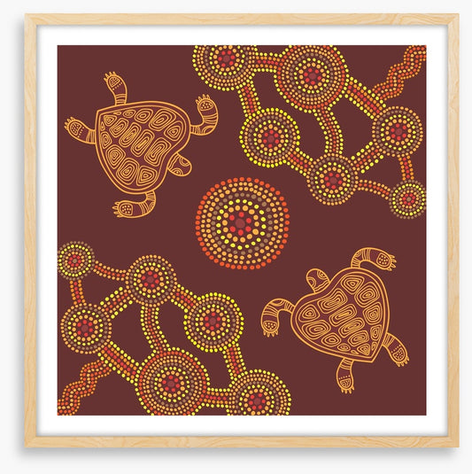 Swimming turtles