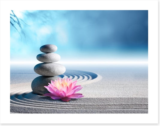 Lily and stones