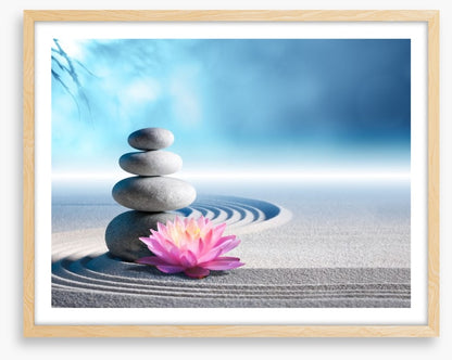 Lily and stones