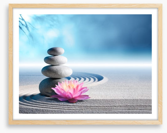 Lily and stones