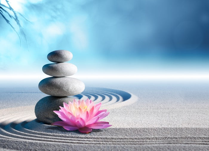 Lily and stones