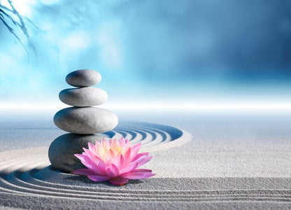 Lily and stones