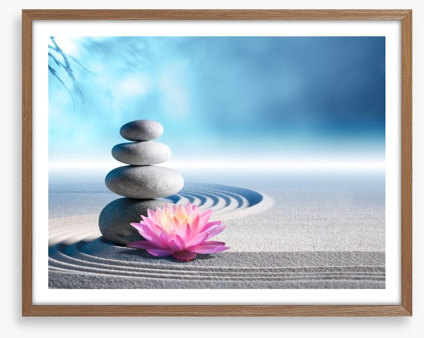 Lily and stones
