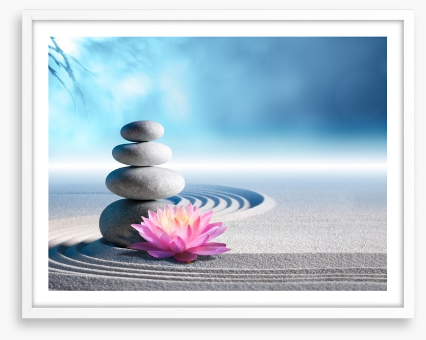 Lily and stones