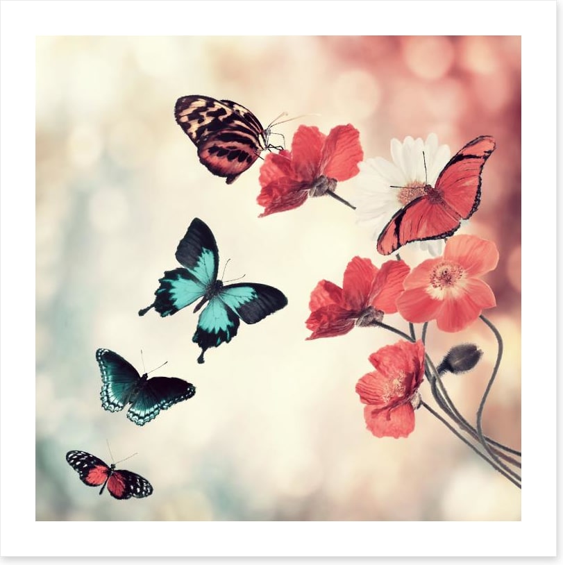 Five butterflies