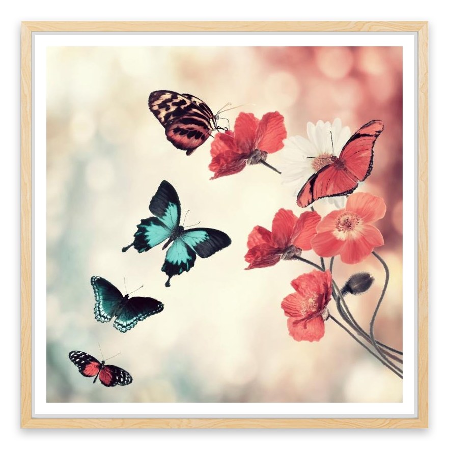 Five butterflies