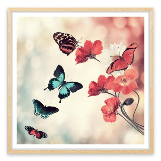 Five butterflies