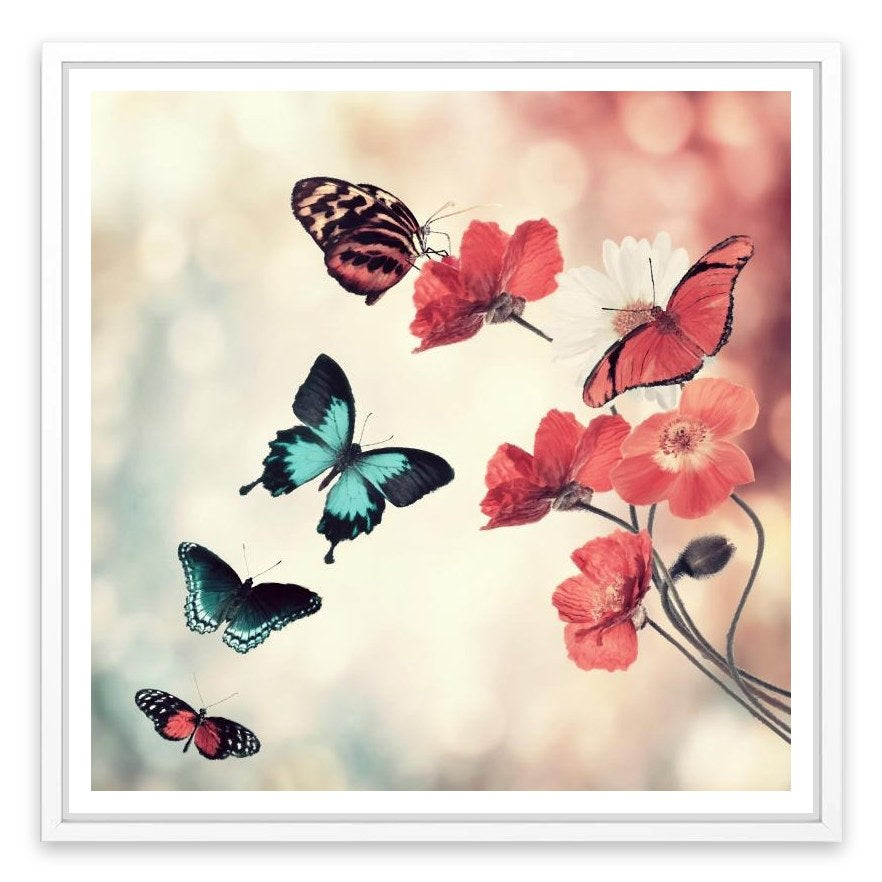 Five butterflies