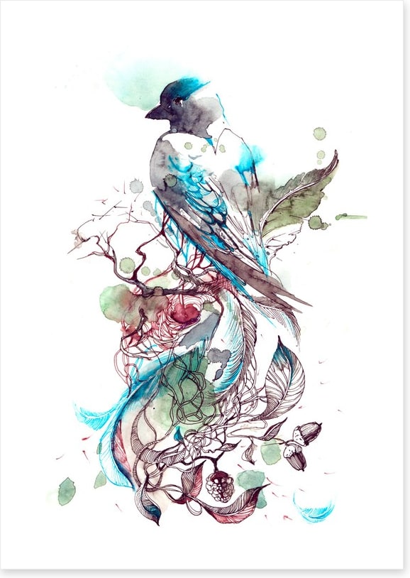 Pretty passerine
