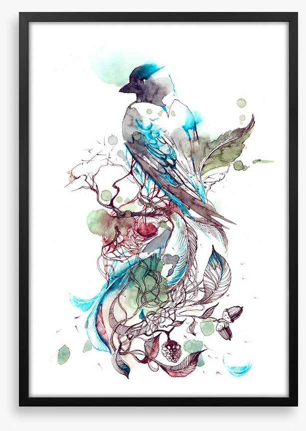 Pretty passerine