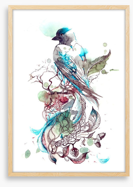 Pretty passerine