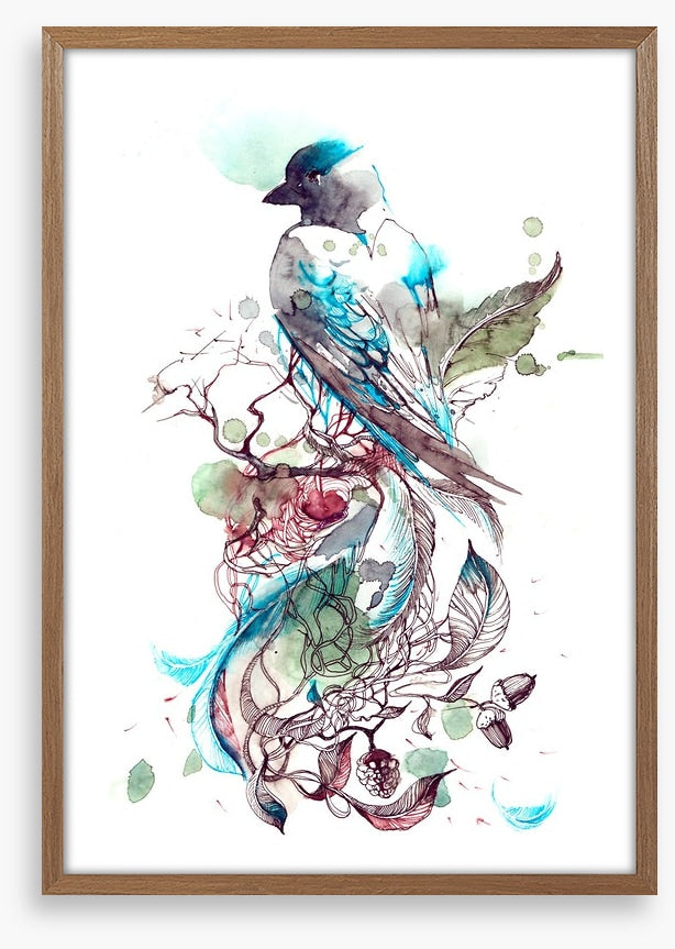 Pretty passerine