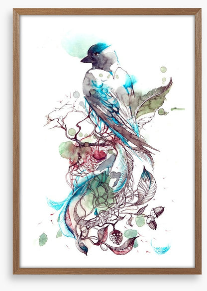 Pretty passerine