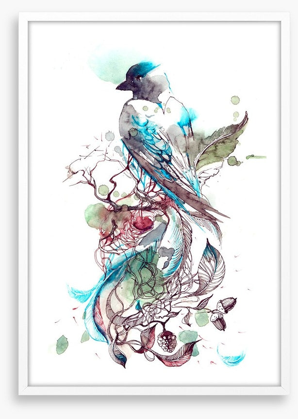 Pretty passerine