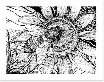 Honey bee