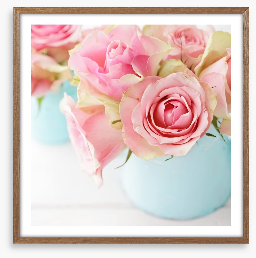 Pink roses in a vase