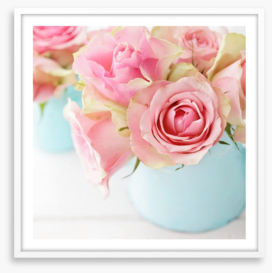 Pink roses in a vase