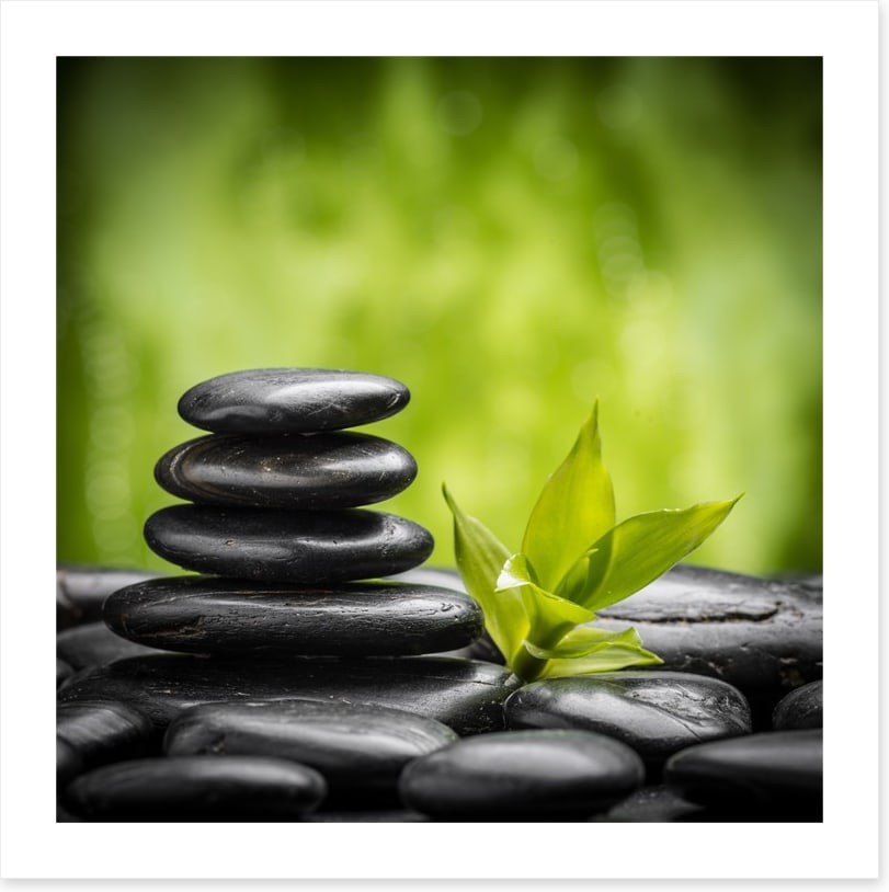 Ayurveda growth