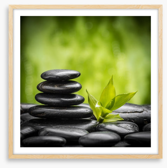 Ayurveda growth