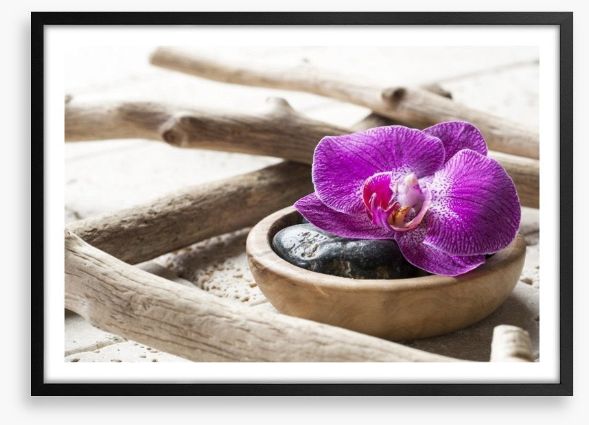 Driftwood orchid