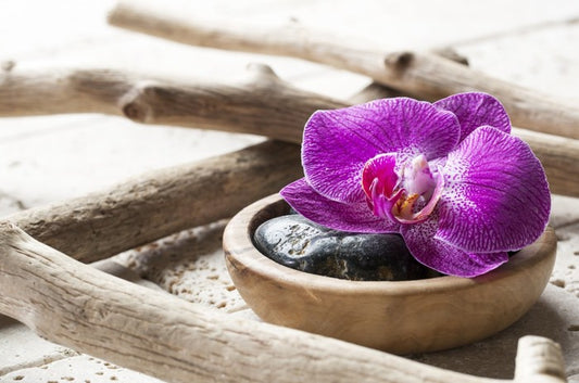 Driftwood orchid