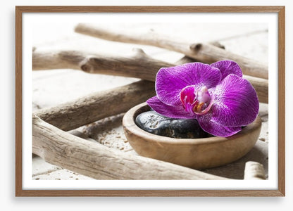 Driftwood orchid