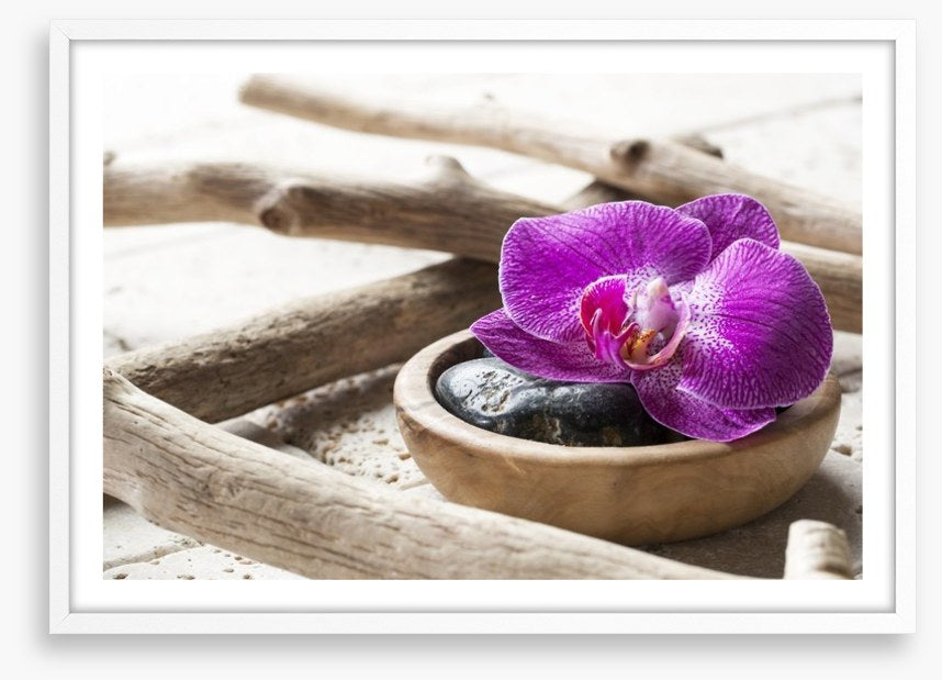 Driftwood orchid