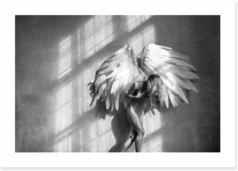 Broken wings