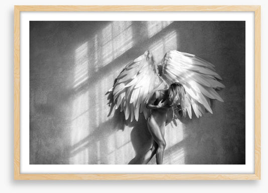 Broken wings