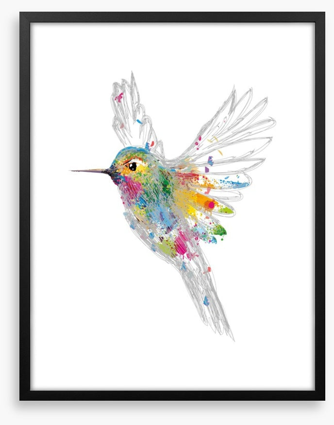 Rainbow honey-eater