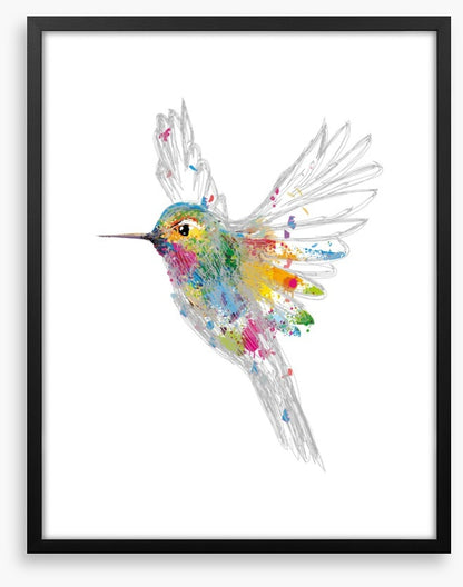 Rainbow honey-eater