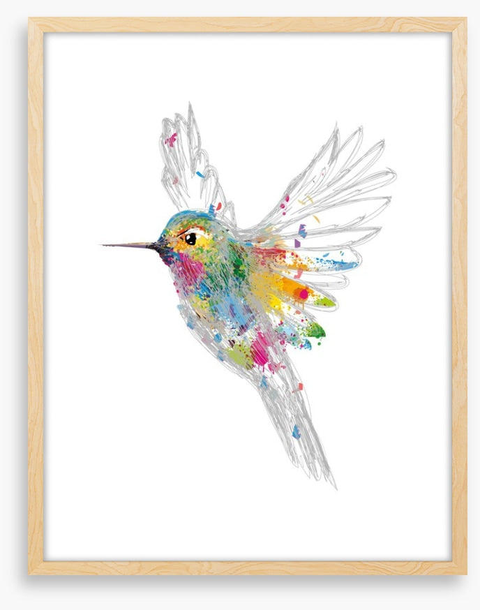 Rainbow honey-eater