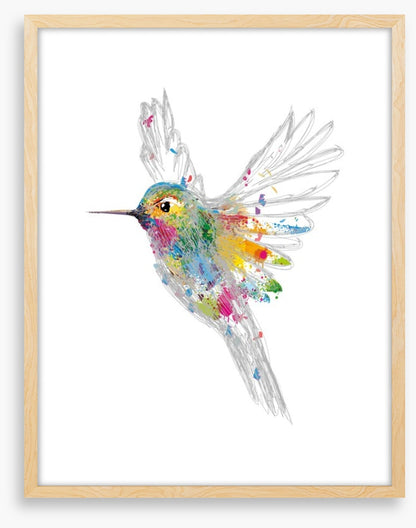 Rainbow honey-eater